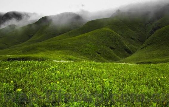 八波即时足球比分-八波即时足球比分，绿茵场上的数字心跳，球迷的激情指南针