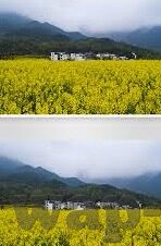 八波足球比分网-八波足球比分网，足球迷的赛事信息宝藏库