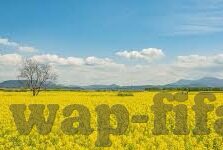 大发棋牌 抢庄牛牛-大发棋牌抢庄牛牛的乐趣与策略
