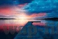 世界杯开幕式全-世界杯开幕式，全球狂欢的序曲